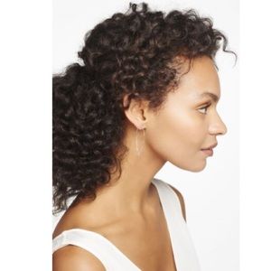 Stella & Dot small hammered hoops